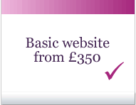 See our Basic Website Package